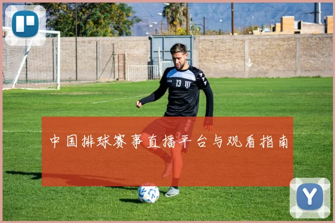 中国排球赛事直播平台与观看指南